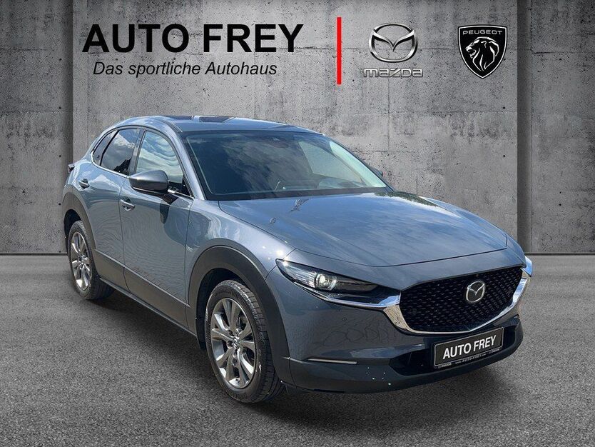 CX-30