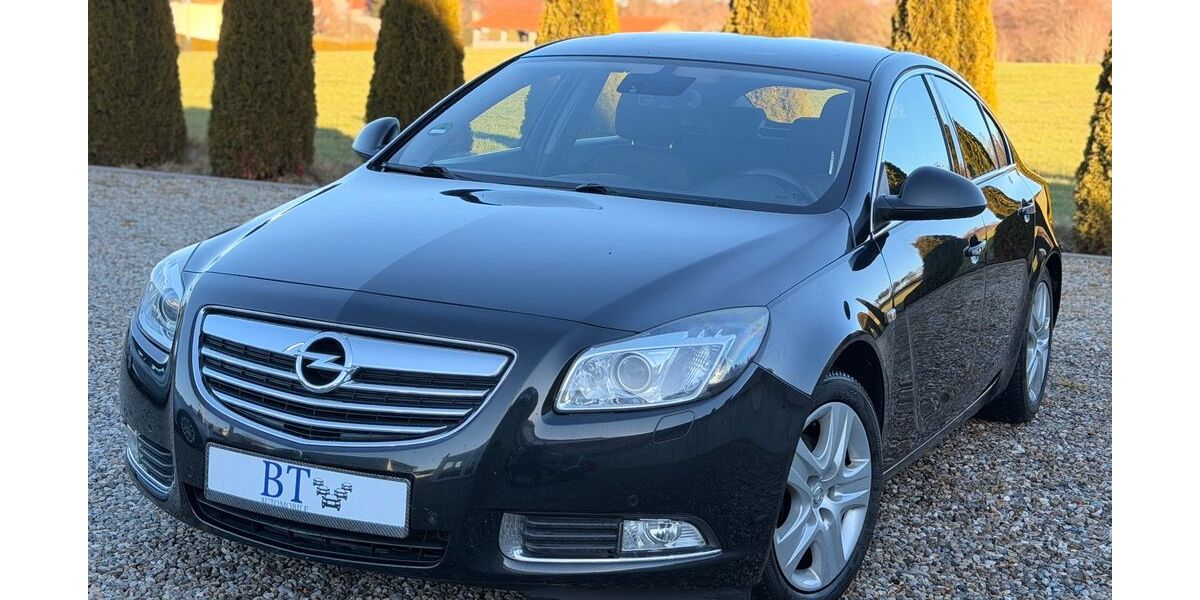 Opel Insignia 263.500 km 3.490 &euro; Hofstetten 86928