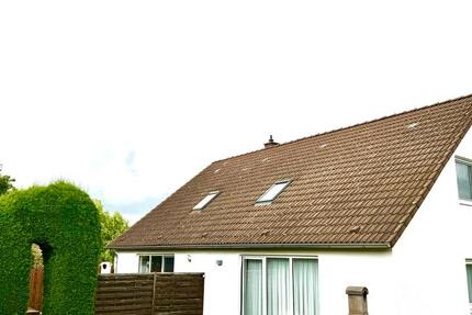 Zwei Doppelhaushälften in Salzgitter-Bad 8 zimmer