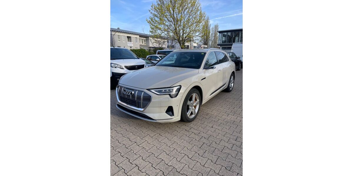 Audi e-tron 194.000 km 19.999 &euro; Osthofen 67574