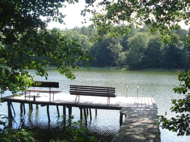 Bungalow Petershagen/Eggersdorf Eggersdorf - 3 Zimmer, 80 m&sup2;, 1.250&euro; | Angebot:26099391