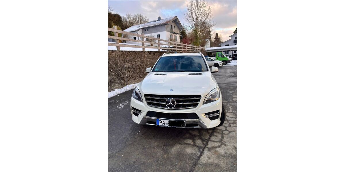 Mercedes-Benz ML 350 181.000 km 19.900 &euro; Saldenburg 94163