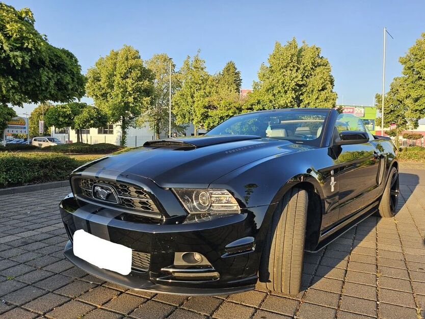 Mustang