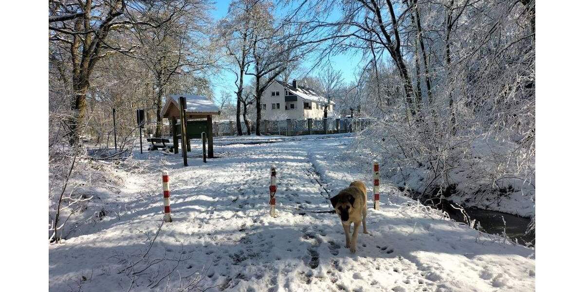 Gewerbeobjekt Ganderkesee Hohenböken - 1.450.000&euro; | Angebot:25426809