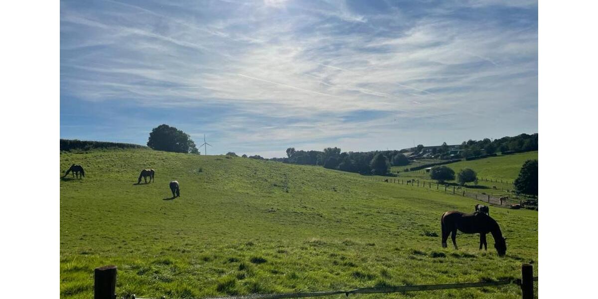 Dachgeschoßwohnung Aachen Aachen-Mitte - 5 Zimmer, 130 m&sup2;, 1.100&euro; | Angebot:25179103