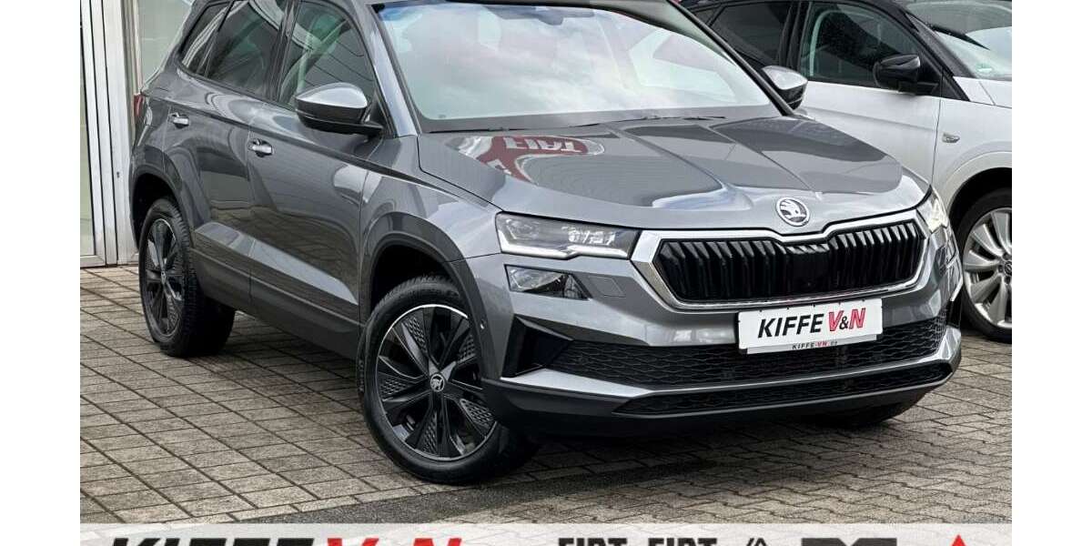 Skoda Karoq 56.420 km 26.990 &euro; Hamm 59063