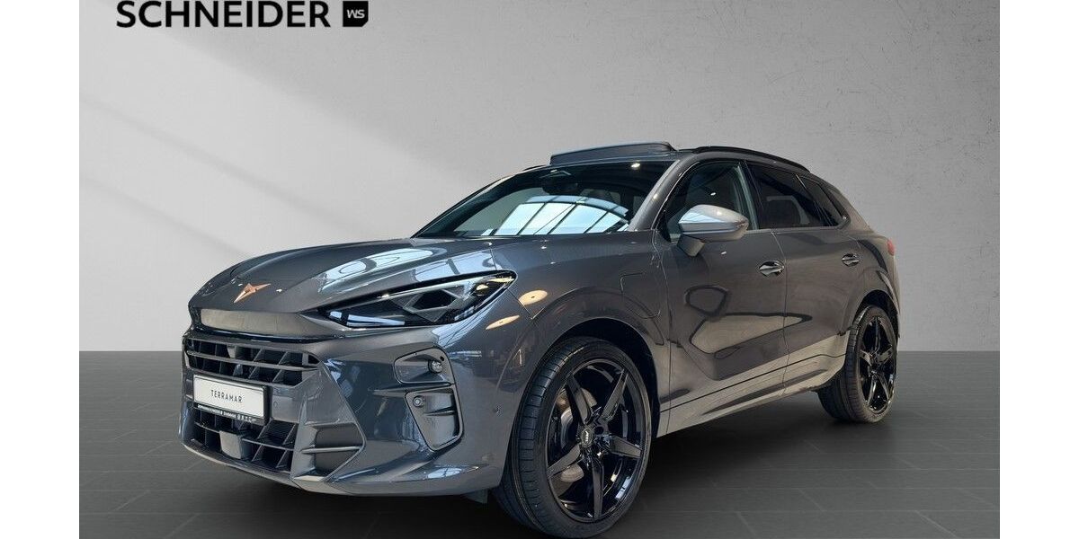 Cupra Terramar 4.500 km 56.690 &euro; Erndtebrück 57339