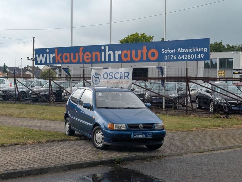 Polo