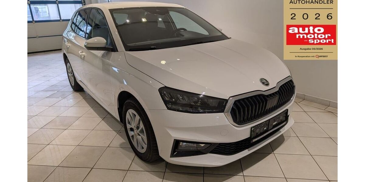 Skoda Fabia 12.586 km 18.299 &euro; Frohburg 04654