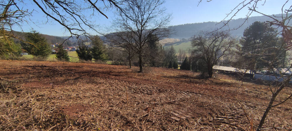 Grundstück Neuhemsbach - 95.000&euro; | Angebot:25691406