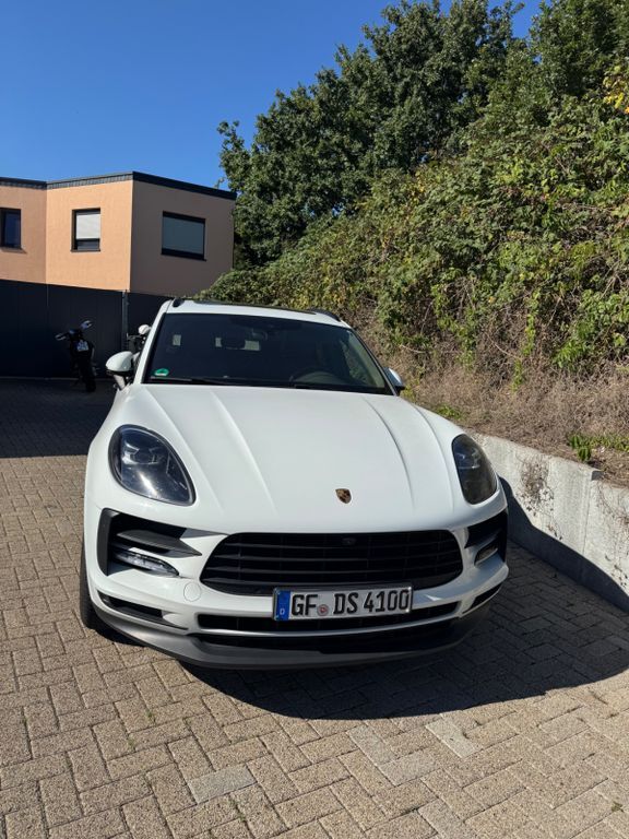Macan