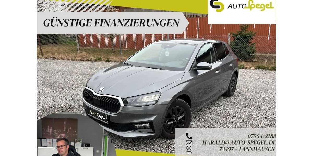 Skoda Fabia 6.887 km 16.890 &euro; Tannhausen 73497