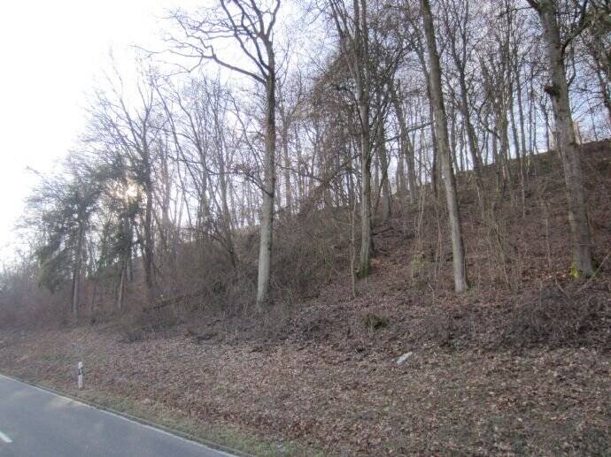 Grundstück Widdern - 25.000&euro; | Angebot:25700084