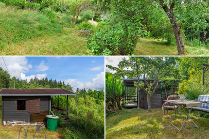 Ihr eigenes Bio-Paradies in Suhl: Pestizidfreier Naturgarten mit Holzhaus, Strom & Ganzjahreswasser! - Grundstück Suhl | Angebot:26745355