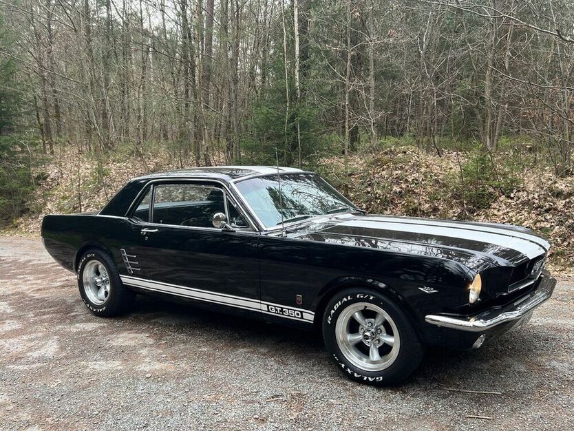 Mustang