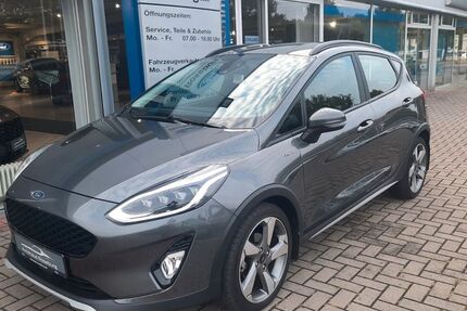 Ford Fiesta 46.500 km 13.990 &euro; Bernburg 06406