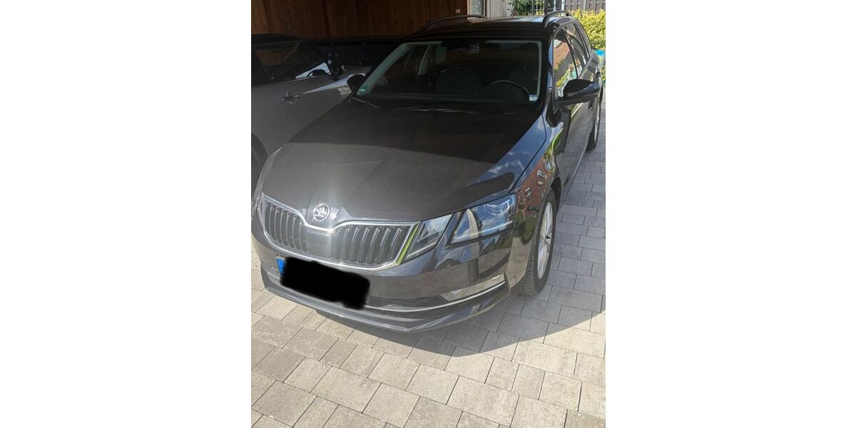 Skoda Octavia 92.400 km 13.800 &euro; Börnsen 21039