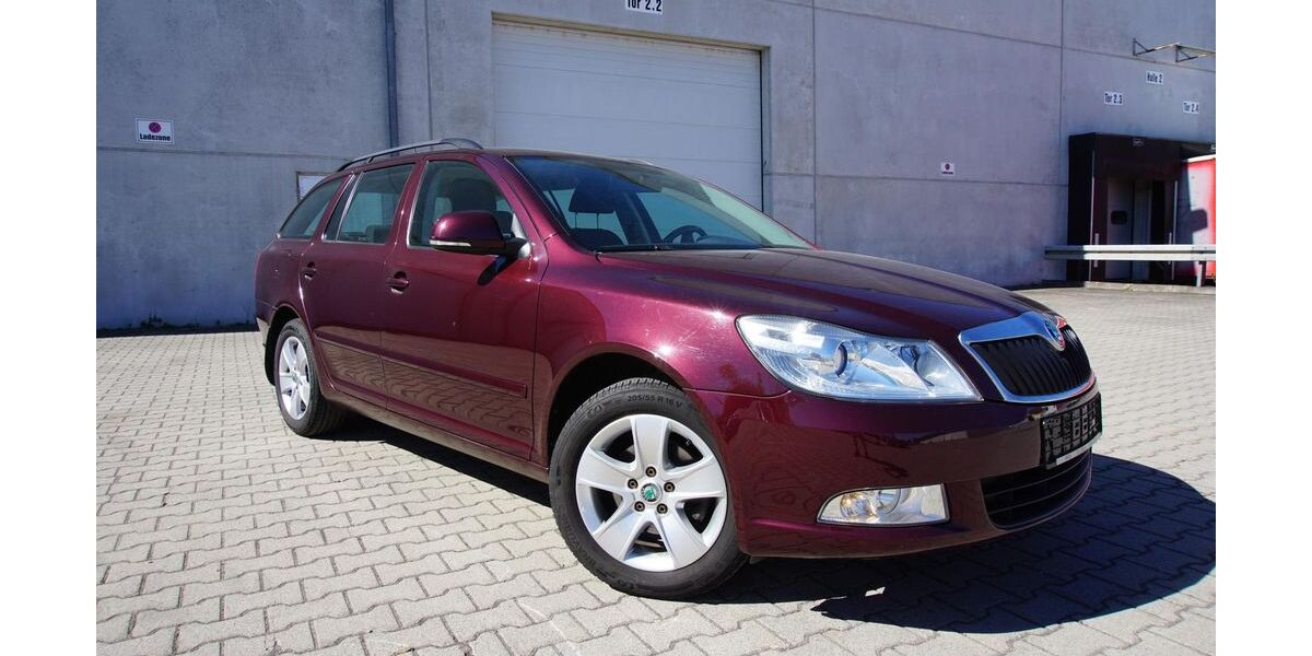 Skoda Octavia 169.940 km 4.895 &euro; Parkstetten 94365