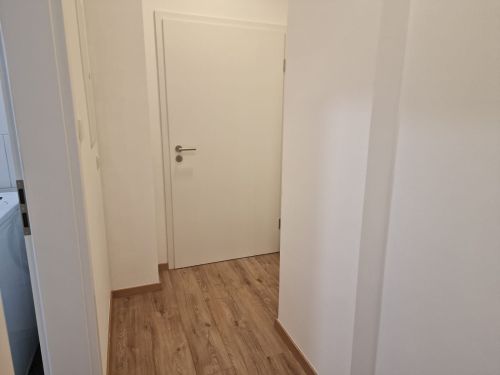 1-Zimmer-Appartement in 97421 Schweinfurt (10692) - Etagenwohnung Schweinfurt Schweinfurt | Angebot:26844283