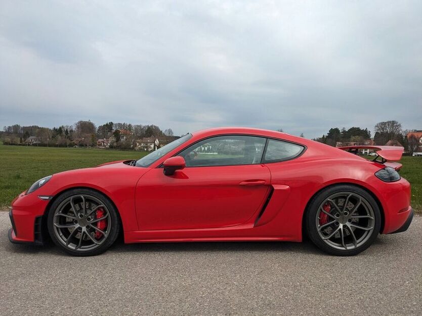 Cayman