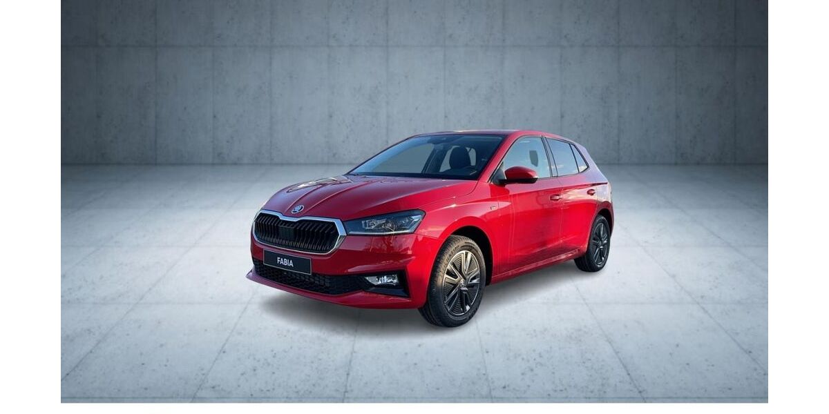 Skoda Fabia 1.200 km 19.790 &euro; Soltau 29614