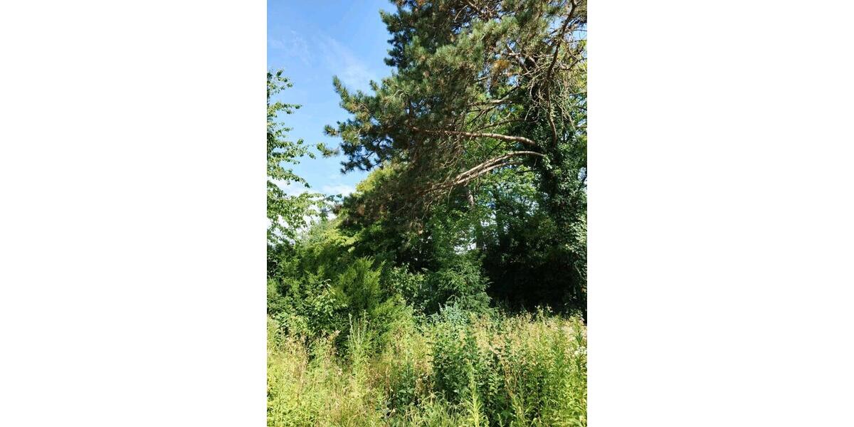 Nebengebäude mit 5 mikro Whg mitten in Öhringen 6 zimmer