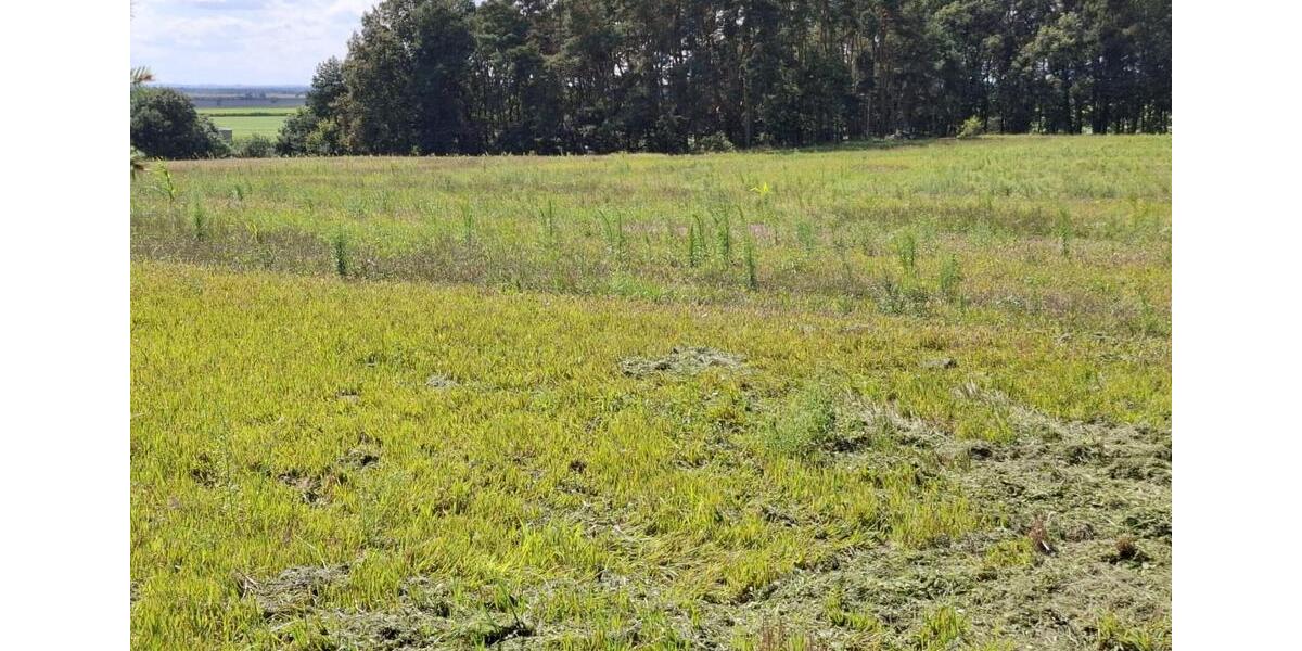 Einfamilienhaus Ebersbach - 8 Zimmer, 192 m&sup2;, 280.000&euro; | Angebot:25330540