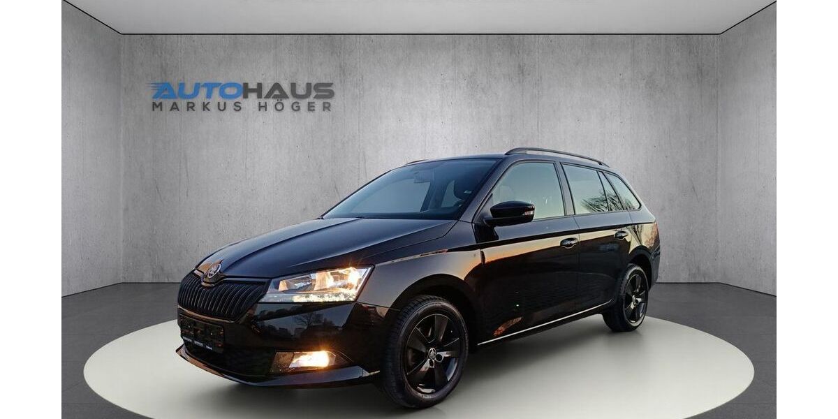 Skoda Fabia 48.930 km 15.190 &euro; Pöttmes 86554