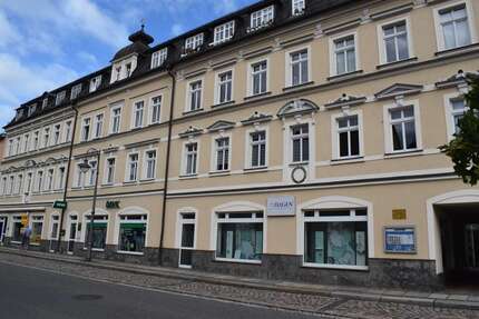 Wohnung Waldheim Meinsberg - 2 Zimmer, 35 m&sup2;, 245&euro; | Angebot:23804284