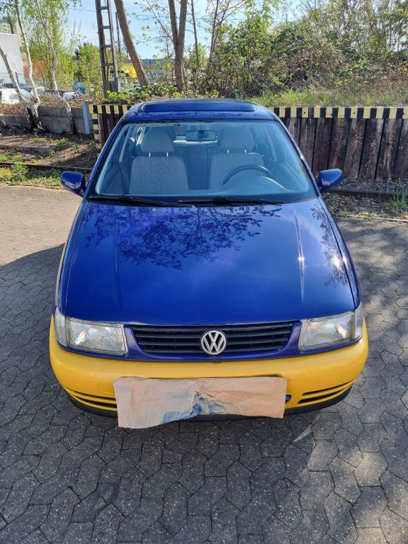 Polo