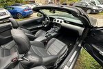 Ford Mustang 5,0 GT Leder
