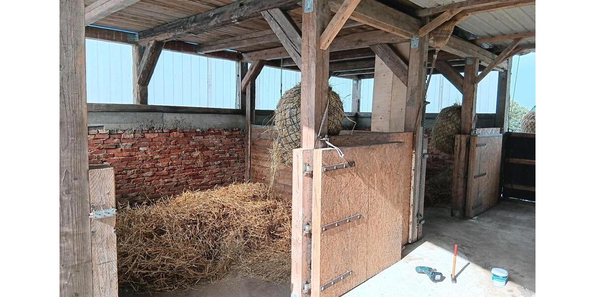 Bauernhaus, Landhaus Klanxbüll - 5 Zimmer, 140 m&sup2;, 355.000&euro; | Angebot:26807182