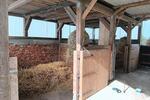 Bauernhaus, Landhaus Klanxbüll - 5 Zimmer, 140 m&sup2;, 355.000&euro; | Angebot:26807182