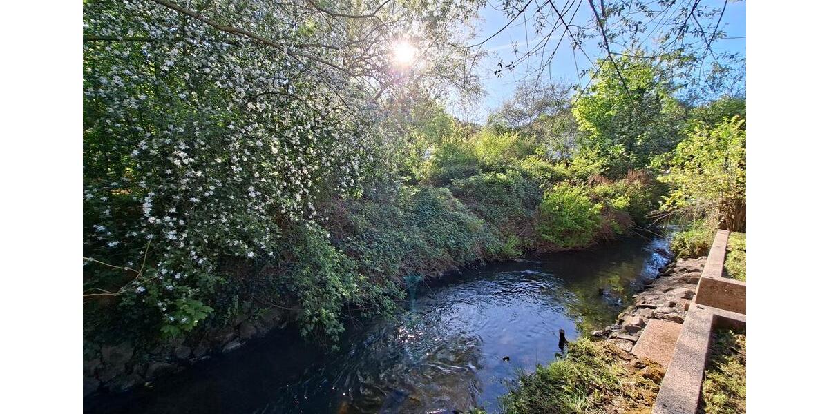 Bungalow Rodalben - 269.000&euro; | Angebot:27146238
