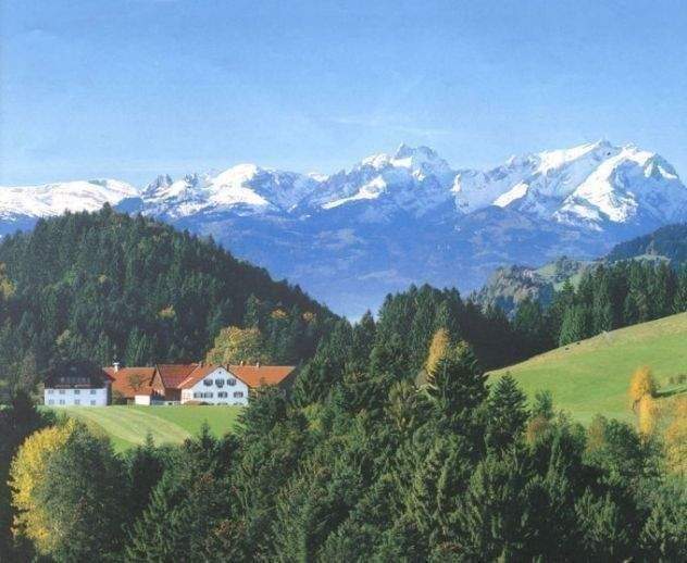 Terrassenwohnung Weiler-Simmerberg Weiler - 3 Zimmer, 94 m&sup2;, 438.500&euro; | Angebot:25745164