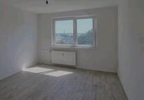 1-Raum Wohnung Prohlis