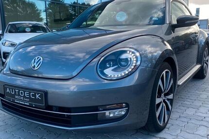 VW Beetle