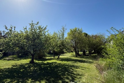 Sonniges Baugrundstück für Einfamilien-, oder Doppelhaus in einer der schönsten Lagen von Höchberg - Grundstück Höchberg | Angebot:26670186