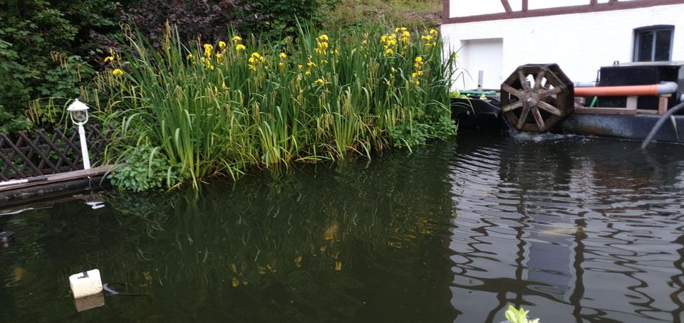 Einfamilienhaus Finnentrop - 520.000&euro; | Angebot:25966324