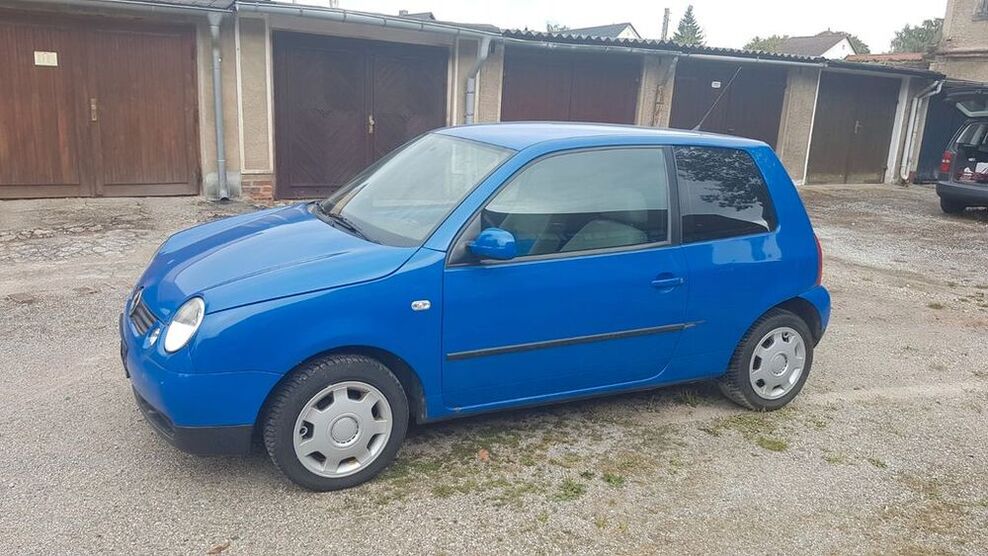 Lupo
