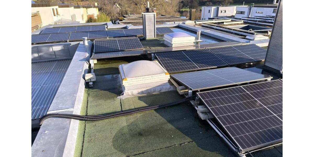 Einfamilienbungalow mit Einliegerwohnung in Kornwestheim zimmer