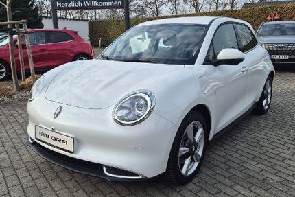GWM Ora 03 5.317 km 15.990 &euro; Kamenz 01917