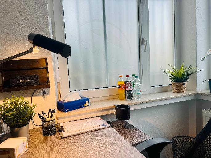 Tagesbüro oder Stundenbüro in Halle Saale All Inclusive - All-in-Miete zimmer
