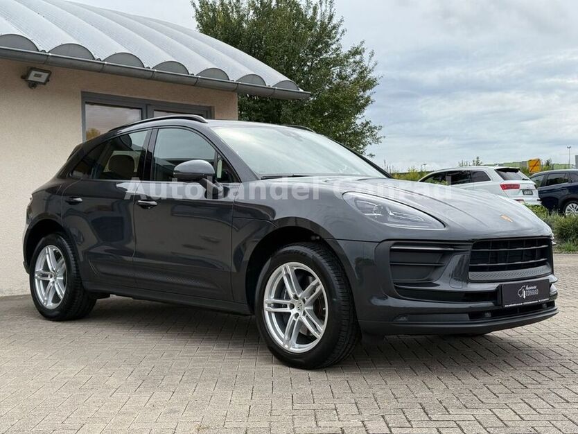 Macan