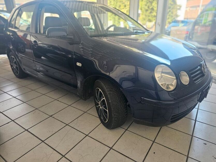 Polo