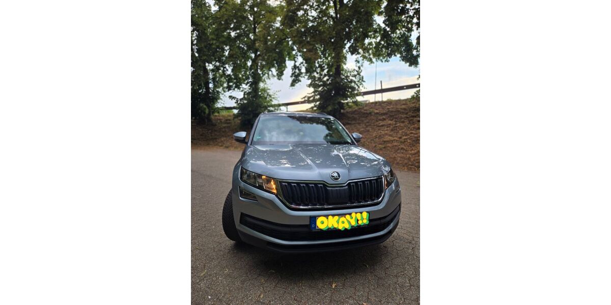 Skoda Kodiaq 110.000 km 18.900 &euro; Neuwied 56567