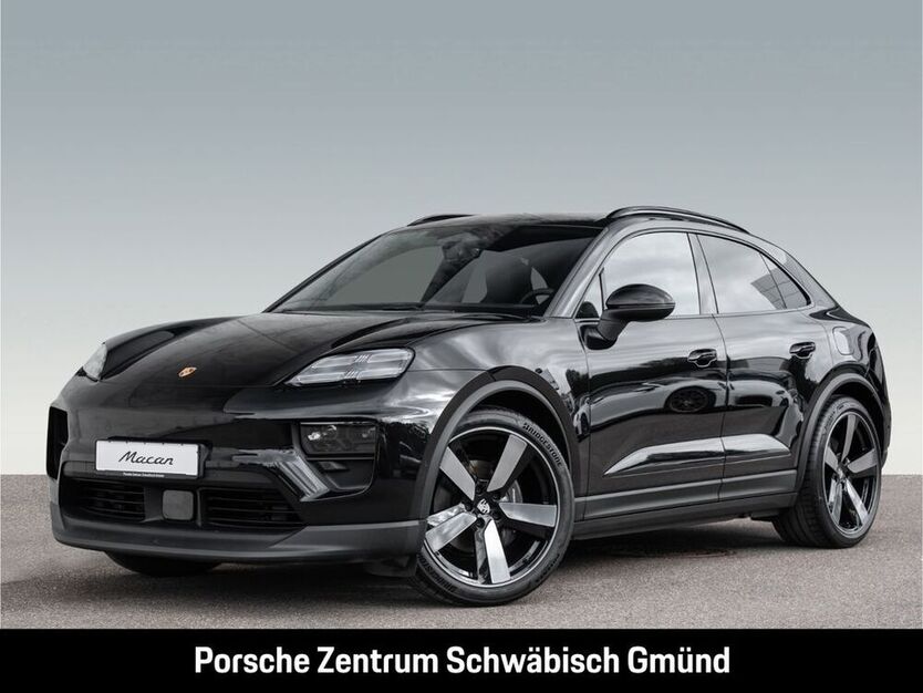 Macan