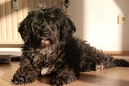 PenthausDachwohnung 3 zimmer