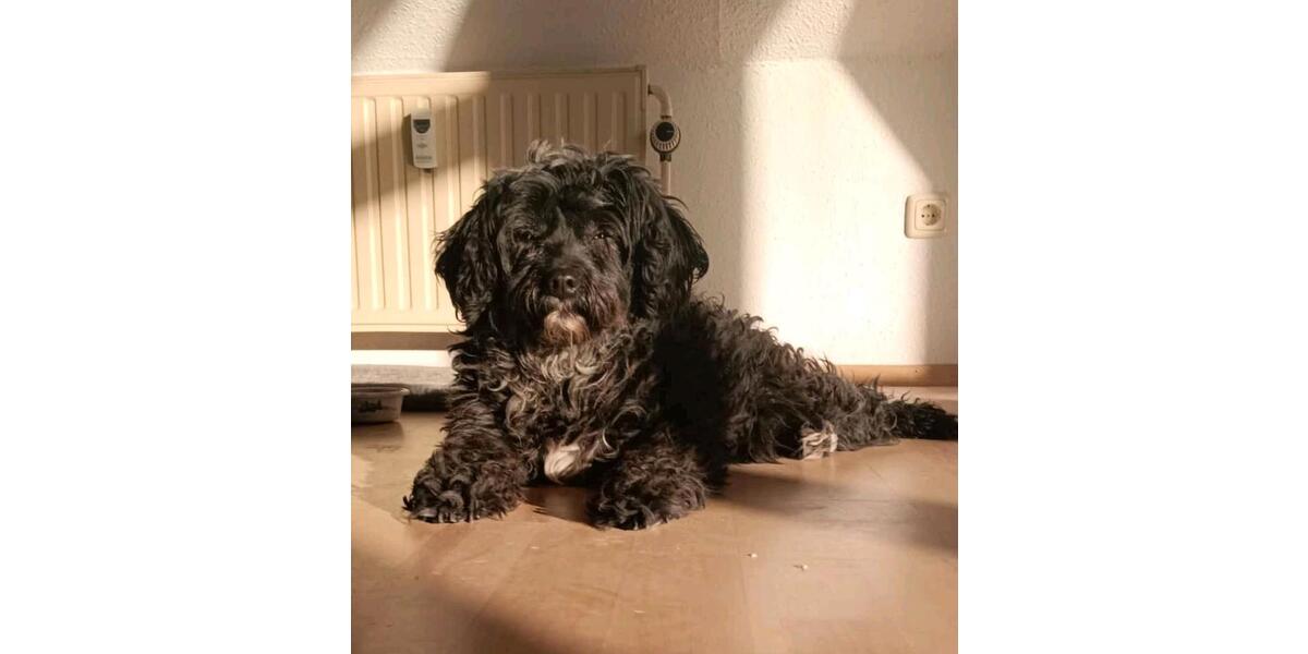 PenthausDachwohnung 3 zimmer