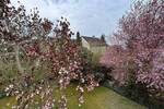Einfamilienhaus Neunkirchen - 5 Zimmer, 115 m&sup2;, 535.000&euro; | Angebot:26730959
